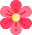 Efecto flor